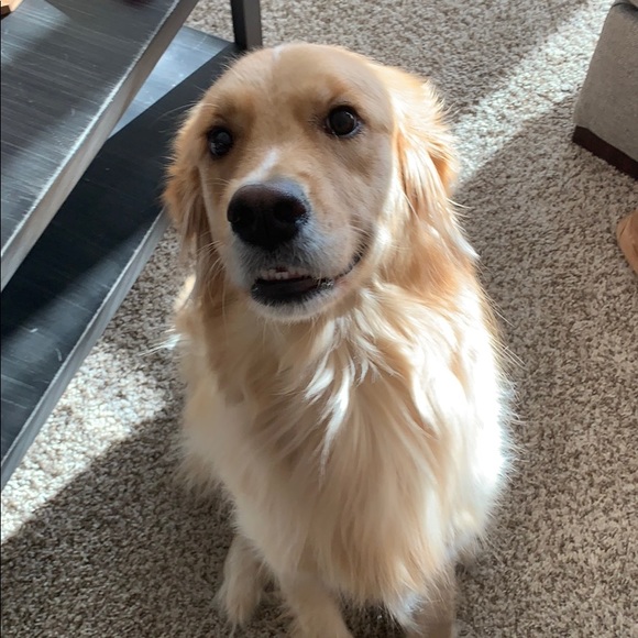 Profile Picture of Bryan Eddy (@usa13f) on Poshmark