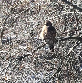 Les Utz - Facebook Profile Picture of Les Utz (@les.utz) on Facebook