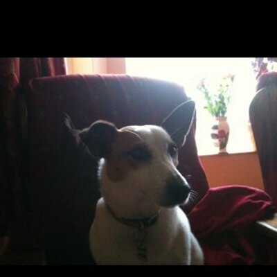 Profile Picture of Jack Russell (@j_russellgarvin) on Twitter