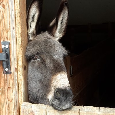 Profile Picture of Hoss Marc (@marc_hoss) on Twitter