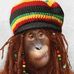Profile Picture of Karl Denbästa Larsson (@karl.larsson.12914) on Facebook