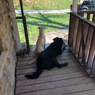 Profile Picture of Jesse Hammons (@jesse.hammons.1) on Facebook