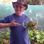 Profile Picture of Tony Robertson (@robertsontony) on Instagram