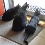 Profile Picture of Eric Lofstedt (@lofstedteric) on Instagram