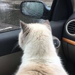 Profile Picture of Matthew Durham (@matthew_durham03) on Instagram