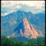 Profile Picture of Angela M. Shapiro (@angelamys777) on Instagram