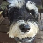 Profile Picture of Bette D Huey (@bettedhuey) on Instagram