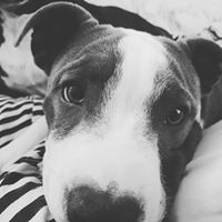 Profile Picture of Shellie Garland (@shellie-garland) on Quora