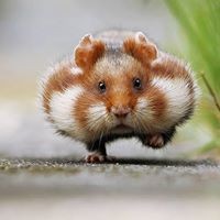 Profile Picture of Thomas Garbutt (@thomas-garbutt-1) on Quora