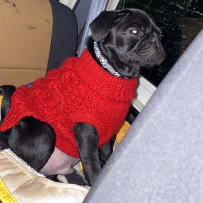 Profile Picture of JJ Jensen (@Jota_Jota18) on Twitter