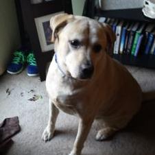 Profile Picture of Michael Madison (@dendefender1) on Twitter