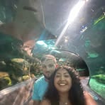 Profile Picture of Caleb McKnight (@Caleb-McKnight) on Facebook