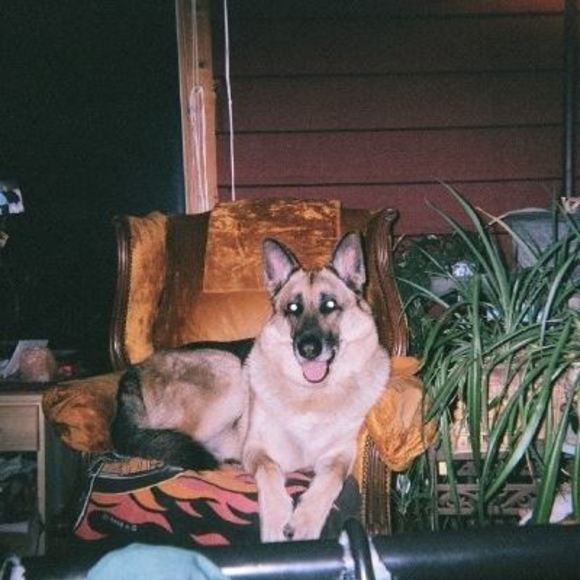 Rochelle Chavier - Poshmark Profile Picture of Rochelle Chavier (@purplelordes) on Poshmark