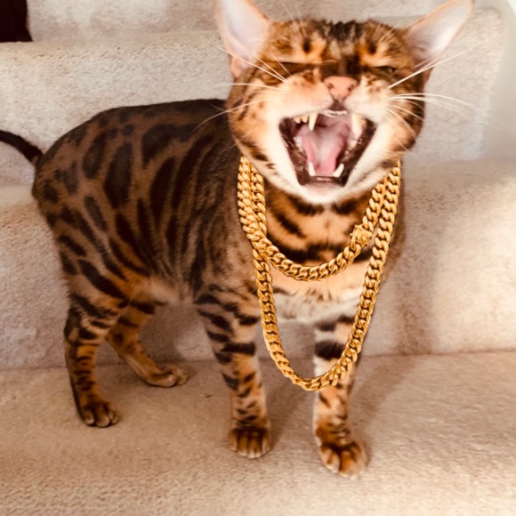 Profile Picture of Dan Kowsky (@dankow) on Poshmark