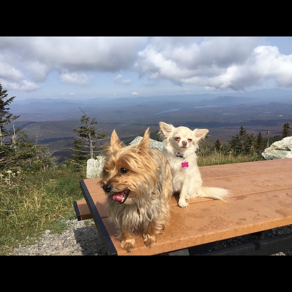 Profile Picture of Dorota Dudzinska (@doronia63) on Poshmark