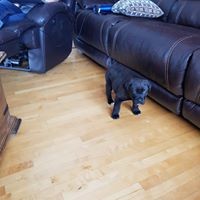 Profile Picture of Daniel Bouchard (@daniel-bouchard-10) on Quora