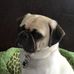 Profile Picture of Ian Noel (@ian.noel.12382) on Facebook