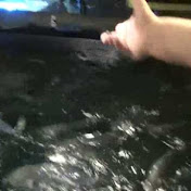 Profile Picture of Lori Crandall (@Buffalobilly8) on Youtube