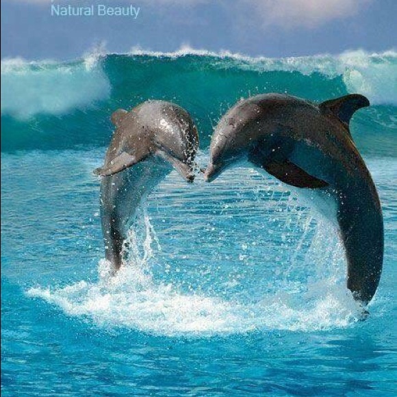 Profile Picture of Jennifer Forberger (@jennifrmdablk) on Poshmark