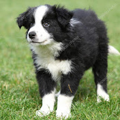 Profile Picture of Michel Duval (@michelduval3319) on Youtube