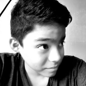 Profile Picture of Joel Benjamin Amos Vidurrizaga Gastón (@JoelVidurrizaga) on Twitter