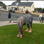 Profile Picture of Patrick Mcinerney (@mcinerney.p) on Instagram