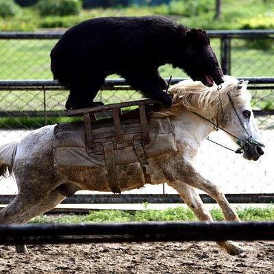 Profile Picture of Jeremy Kolberg (@jeremykol) on Twitter