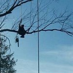 Profile Picture of Michael Isom (@isommichael) on Instagram