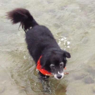 Profile Picture of Alexander Burns (@Ahburns88) on Twitter