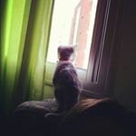 Profile Picture of Norma Robbone (@normarobbone) on Instagram