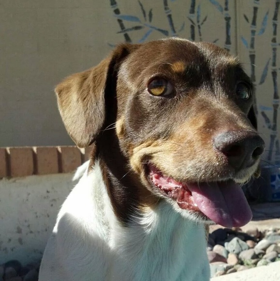 Profile Picture of Alison h h Heaton (@ahhheaton) on Poshmark