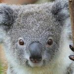 Profile Picture of David Gomez (@grilled_cheese_is_cheesey) on Instagram