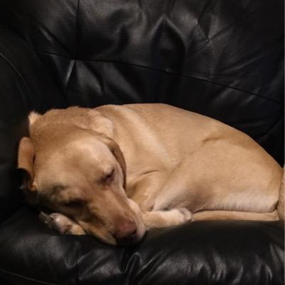 Profile Picture of Scott Littlejohn (@SLittlejohn4) on Twitter