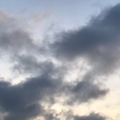 Profile Picture of Kate Elin Ø.Haugen (@kateelin79) on Twitter