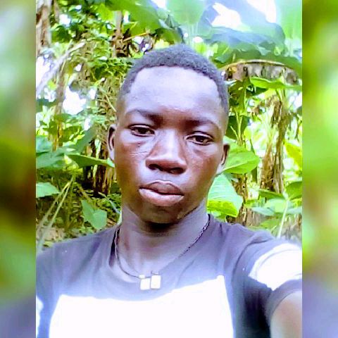 Profile Picture of Randy Darteh (@user569478149868) on Tiktok
