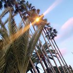 Profile Picture of mr.yuriorlov (@mr.yuriorlov) on Instagram