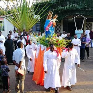 Profile Picture of Casto David (@CastoDavid1) on Twitter