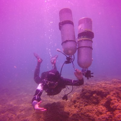 Profile Picture of Wadad Mougharbel (@WadadMougharbel) on Twitter