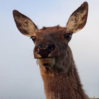 Profile Picture of Benjamin Nevis (@benjamin.nevis) on Instagram