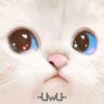 Profile Picture of Andy Ackerman (@andy_ackerman777) on Instagram