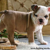 Profile Picture of Macy Morgan (@macymorgan9970) on Youtube