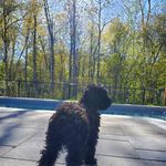 Profile Picture of Eden Villanueva Talbot (@villanuevatalbot) on Instagram