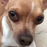 Profile Picture of Dawn McCord (@dawn_mccord) on Instagram