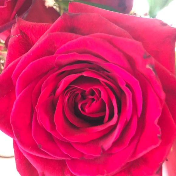 Profile Picture of Amy Eavey (@ack895) on Poshmark