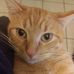 Profile Picture of Steve Kemper (@steve.kemper.13) on Facebook