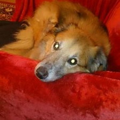 Profile Picture of Nora Watson (@marywatson66) on Twitter