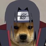 Profile Picture of Seth Roberson (@therealshaolinmonk) on Instagram