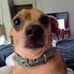 Profile Picture of Allen Bowling (@allen.bowling.127) on Facebook