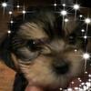 Profile Picture of Christine Bright (@@christinebright2) on Tiktok
