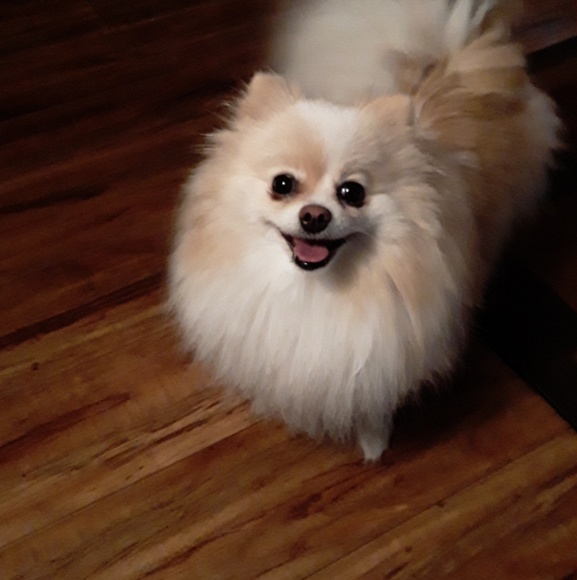 Amie Day - Poshmark Profile Picture of Amie Day (@amday4917) on Poshmark